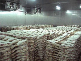 设计食品,果蔬,水产冷藏库提供冷冻库设备小型冷库信息