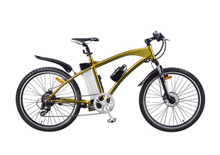 SG-TDE01Z26”电动自行车EN15194认证信息