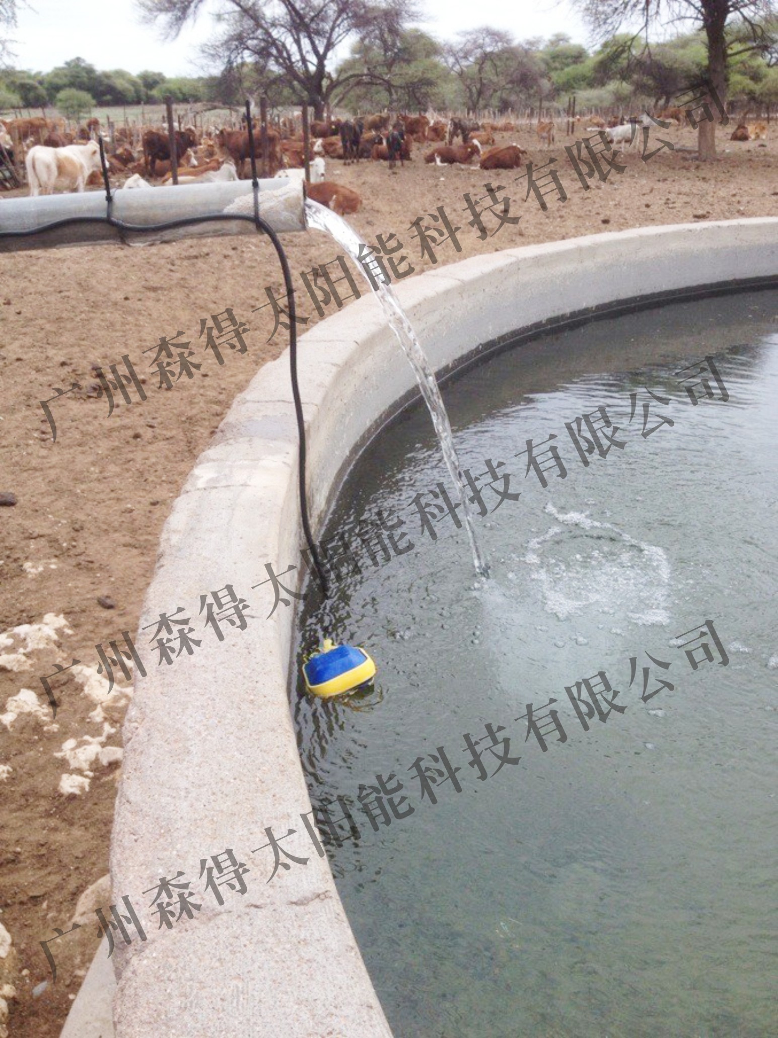 太阳能水泵 深井泵信息