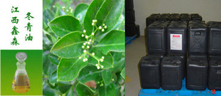 冬青油必选国内正规厂家质优价廉信誉保证!信息