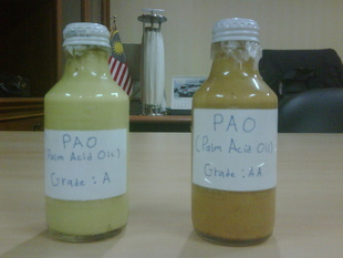 进口印尼产棕榈油酸信息