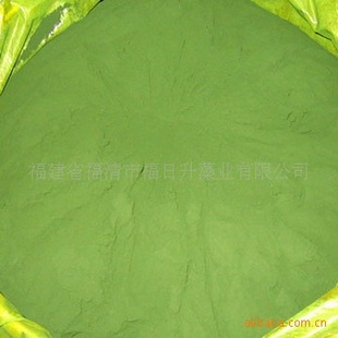 特产蛋白核小球藻粉破壁绿藻粉信息