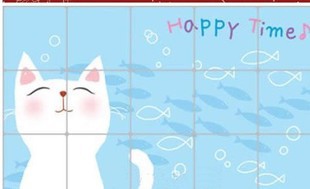 TL泽熙牌韩国墙贴画时尚厨房铝箔防油贴纸—白猫信息