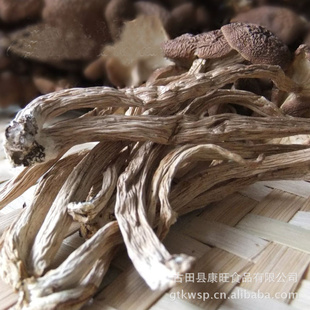 特级茶树菇干货食用菌茶薪菇康盛达出口品质信息