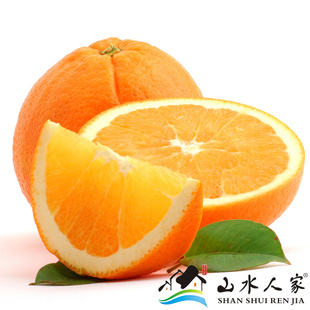 无公害赣南脐橙优质纽荷尔脐橙橙子批发1斤500g鲜橙预售信息