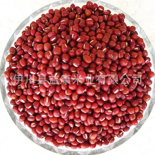 有机红小豆伊川特产优质红小豆批发五谷杂粮信息