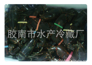 干制水产品长期龙虾【图】信誉第一质量保证信息