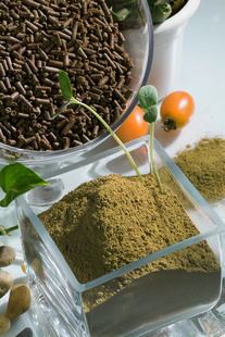 长沙厂家提供优质茶颗粒清塘茶颗粒净化信息
