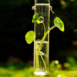 创意！管状透明琉璃悬挂式花瓶水培植物花瓶田园装饰品BB201信息