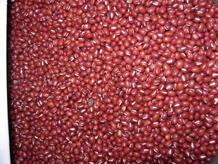 红小豆比重下料5000元/吨信息