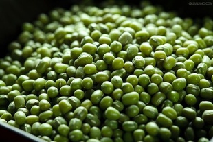 2012年优质绿豆信息