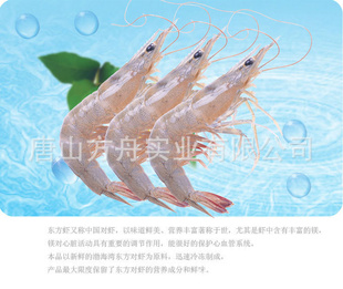 方舟实业批发优质的海洋食品对虾冷冻东方虾信息