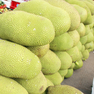 海南三亚特产水果新鲜菠萝蜜木菠萝一个重量在24-25斤信息