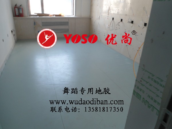 舞蹈地板郑州舞蹈地板舞蹈地板厂家直销塑胶地板降价信息