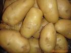 土豆优质,土豆品质上乘新鲜程度好信息