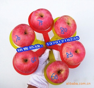 齐樱10斤装七省包邮红富士苹果-苹果,红富士,山东苹果85#信息