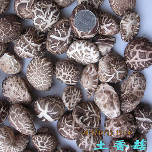 原产地白花菇批发价格45元/斤信息