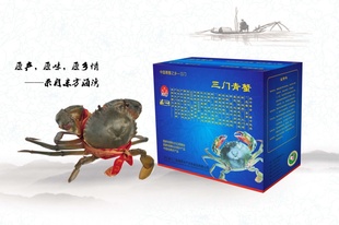 正宗三门青蟹单只3-5两母螃蟹海八味冷冻海鲜礼包冷鲜食品信息