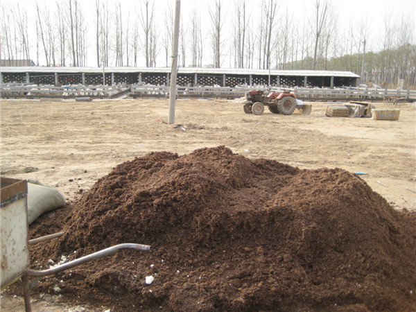 生物发酵羊粪有机肥，土壤肥力有效提高35%以上信息