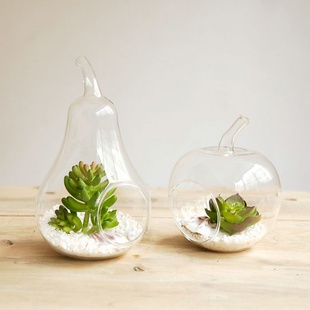 37度创意花瓶苹果形水培梨形花瓶干花玻璃瓶家居装饰信息