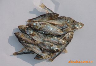 河北蛋白饲料级鱼干（图）优质动物饲料品种齐全、价格合理信息
