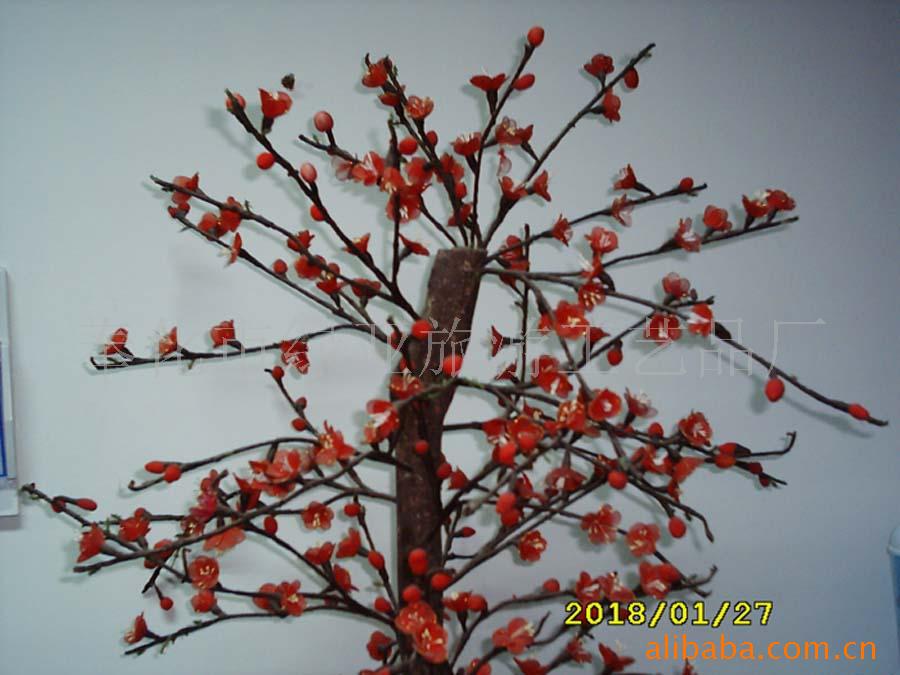 丝花-梅花树a010信息