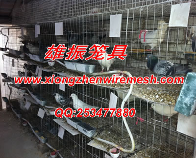 广东鸽子笼子、佛山筛网厂、|珠海兔子笼、鸽子笼、狐狸笼信息