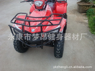 MA-ATV250-3大宝马沙滩车信息