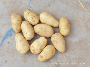 土豆，有机土豆，新鲜土豆，厂家直供优质有机土豆有机蔬菜信息