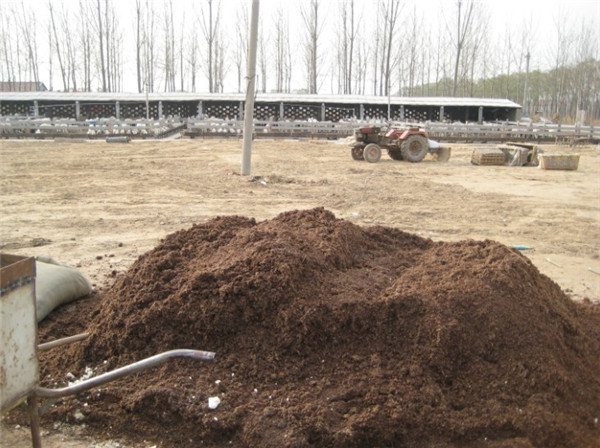 旺青发酵羊粪,茶叶基地专用生物有机肥，改善土壤肥力信息