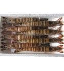 竹节虾（冷冻）大量出售信息
