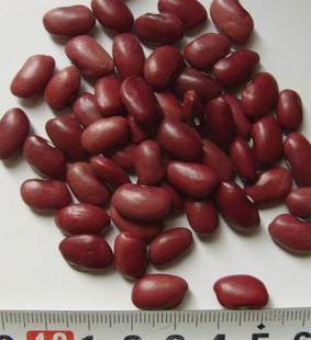 2012年红腰豆新货（统货）内销标准信息