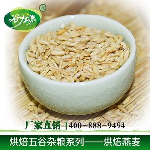 低温烘焙熟燕麦5KG/包燕麦批发五谷现磨豆浆原料信息