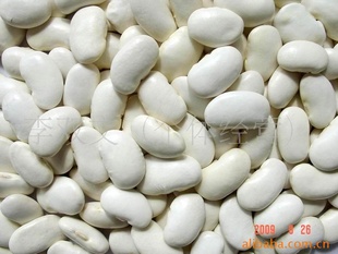 优质云南2012年产大白芸豆60-65粒每100克信息