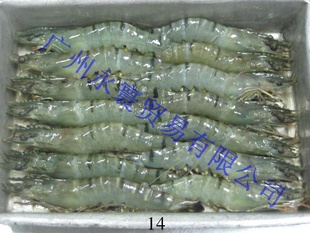冻越南草虾信息
