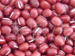 长期各种豆类大中小粒红小豆批发信息