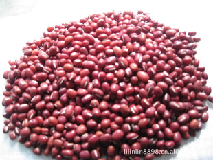 【信誉厂家】高品质原生态红小豆2012年产小粒红小豆信息