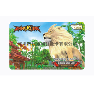 深圳游戏卡，游戏卡制作游戏卡生产厂家，游戏卡定做商信息
