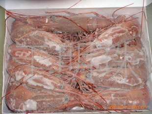 长期船冻极品牡丹虾(生食料理)款到发货信息