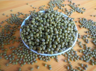东北农家自产绿豆清热解暑解毒有机新绿豆信息
