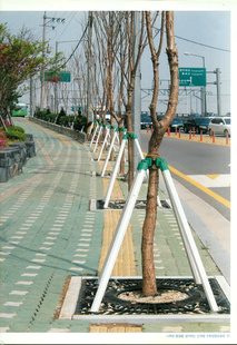 韩国产新型专利产品树木支架信息