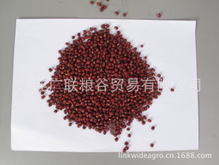优质红小豆厂家直销杂粮批发出口级别红夏普信息