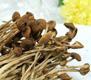 茶树菇干货食品食用菌批发出口特级茶树菇250g原厂信息