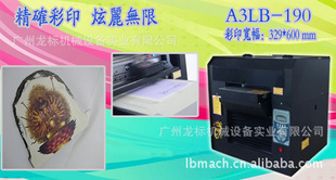 广州龙标机械引进国外先进喷墨技术专业生产万能打印机信息