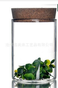 【厂家】茶叶罐玻璃茶叶罐直筒玻璃茶叶罐软木塞玻璃茶叶罐信息