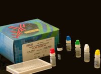 小鼠5核苷酸酶（5-NT）ELISA试剂盒信息