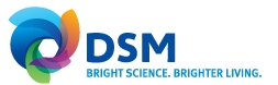 DSM 先达树脂信息